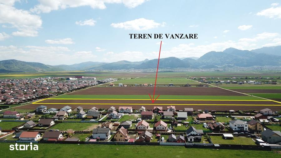 Teren de 29200 mp, în Tărlungeni