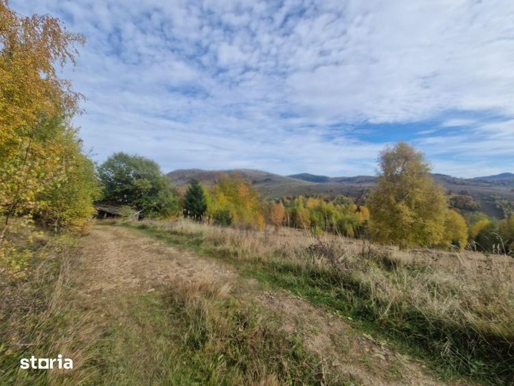 Teren de 1000 mp, în Băișoara
