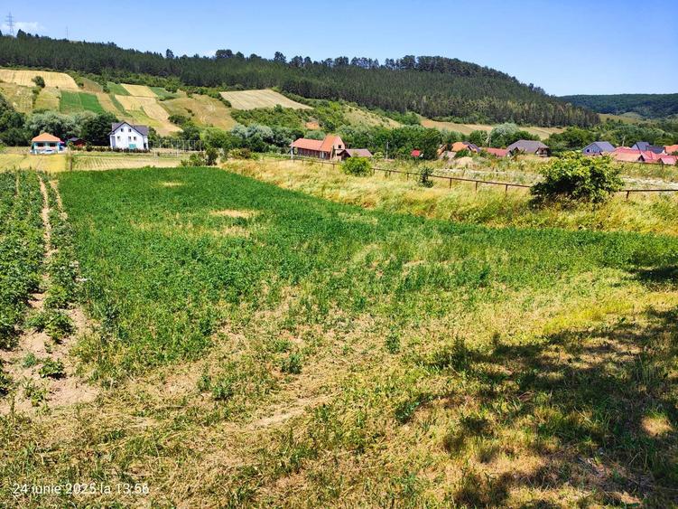 Teren de 1000 mp, în Săvădisla