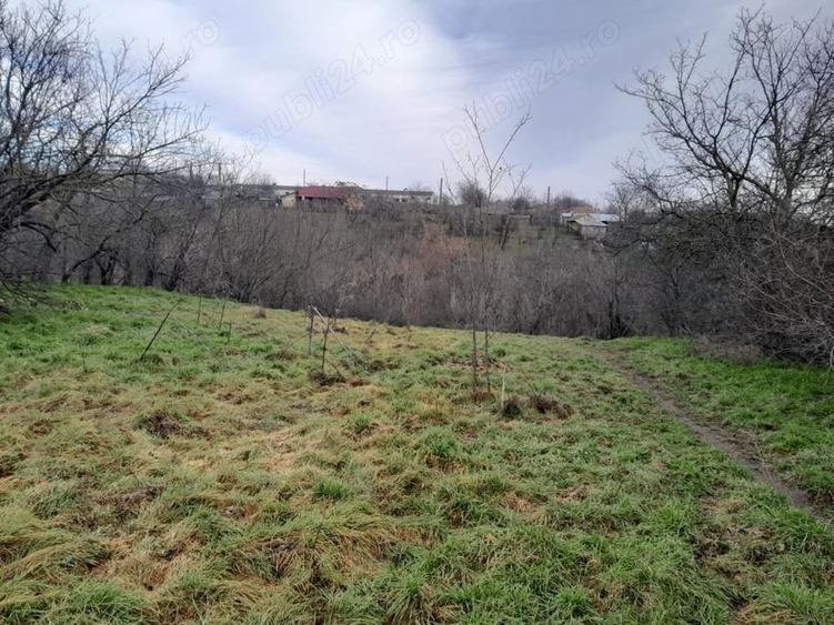 Teren de 2160 mp, în Vârlezi