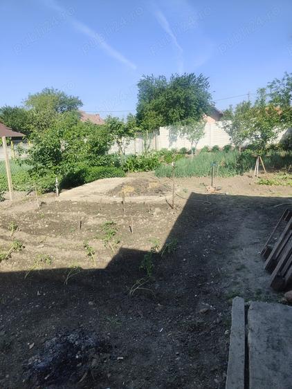 Casă cu 3 camere în Central