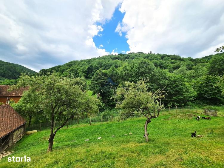 Casă cu 4 camere cu Teren 1500 Mp în Central