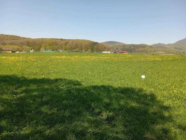 Teren de 1000 mp, în Vulcan
