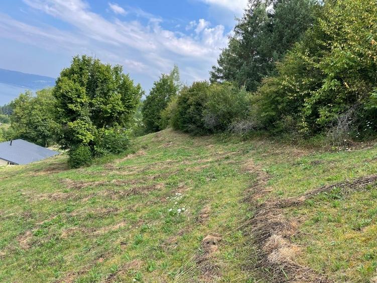 Teren Construcții intravilan de 1600 mp, în Ruginești