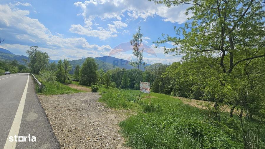 Teren de 2910 mp, în Hangu