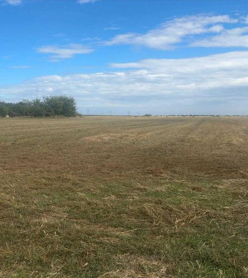 Teren de 300000 mp, în Căteasca