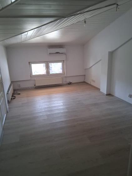 Casă individuală cu 6 camere cu Garaj în Tineretului