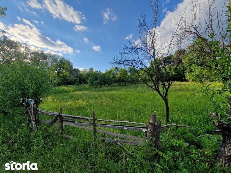 Teren de 4754 mp, în Moțăieni