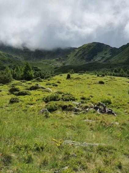 Teren de 1100000 mp, în Nucșoara