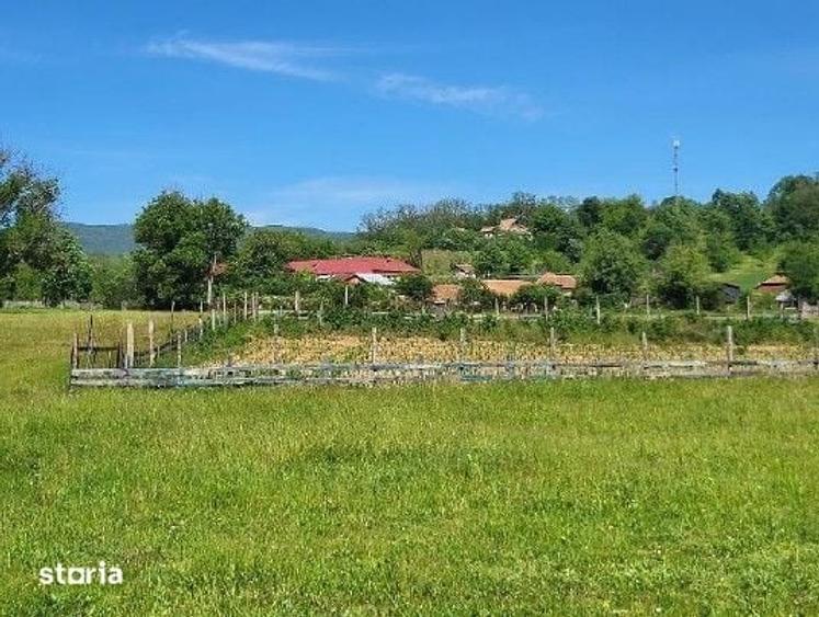 Teren de 1743 mp, în Tisău