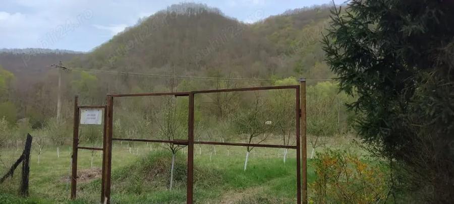 Teren de 3100 mp, în Boz