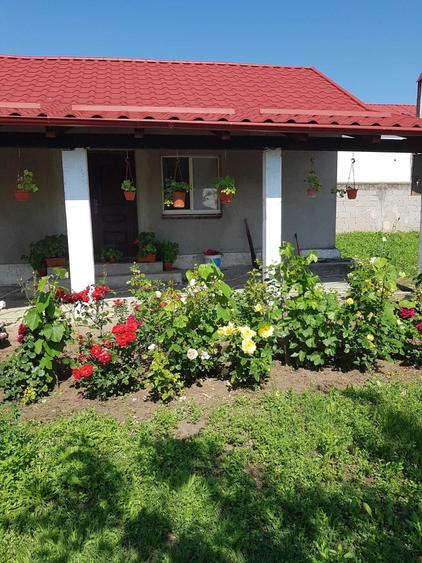 Casă cu 2 camere în Drăgotești