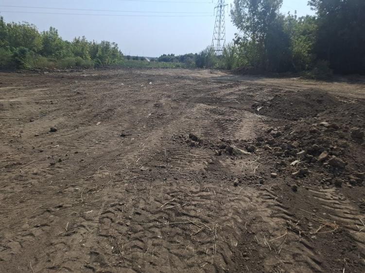 Teren de 1300 mp, în Afumați