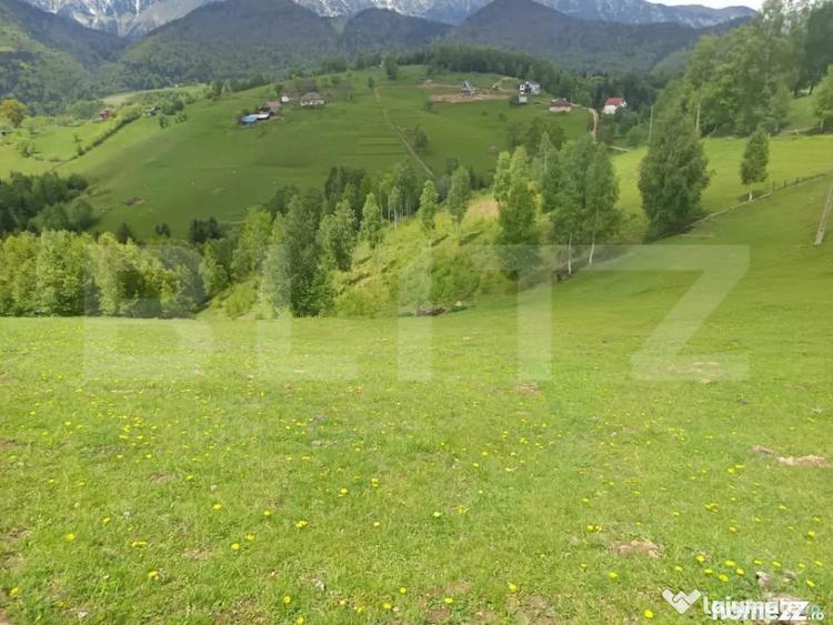 Casă cu 2 camere cu Teren 4807 Mp în Peștera