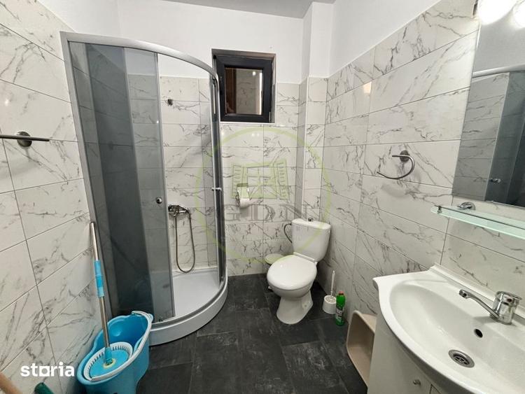 Apartament cu 2 camere decomandat, mobilat în Romanești