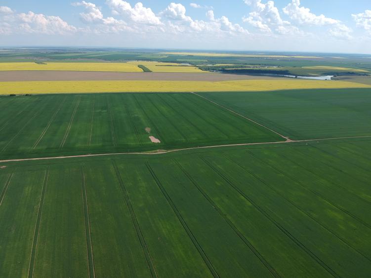 Teren Construcții intravilan de 4750 mp, în Frumușani