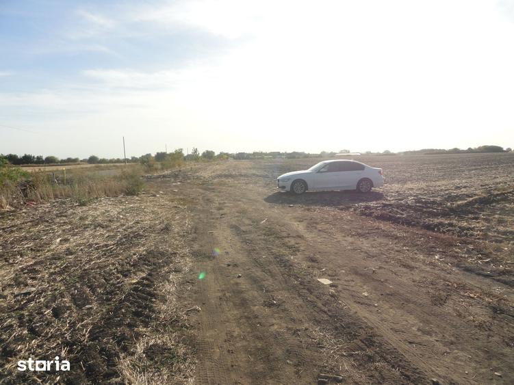 Teren de 53500 mp, în Șofronea