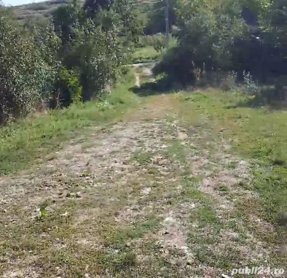 Teren în Goruni