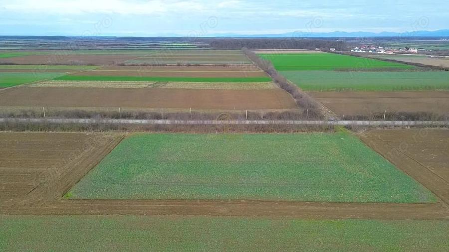 Teren de 6600 mp, în Lazuri