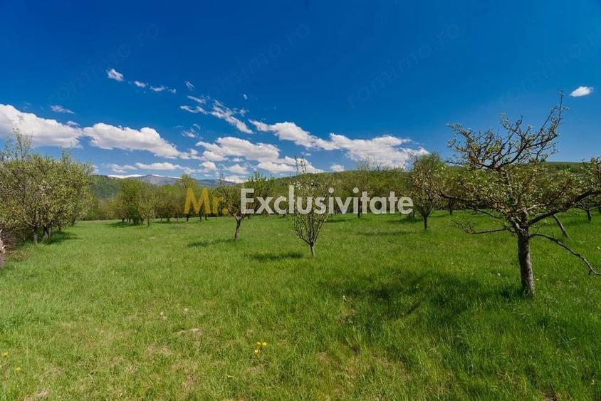 Casă cu 4 camere cu Teren 9915 Mp în Central