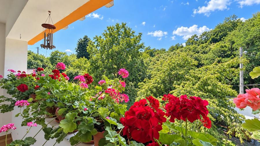 Casă individuală cu 7 camere cu Canalizare în Filipeștii de Pădure