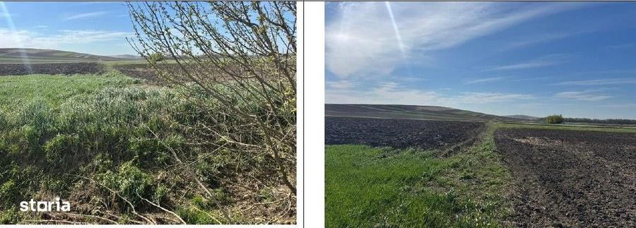 Teren de 3600 mp, în Corni