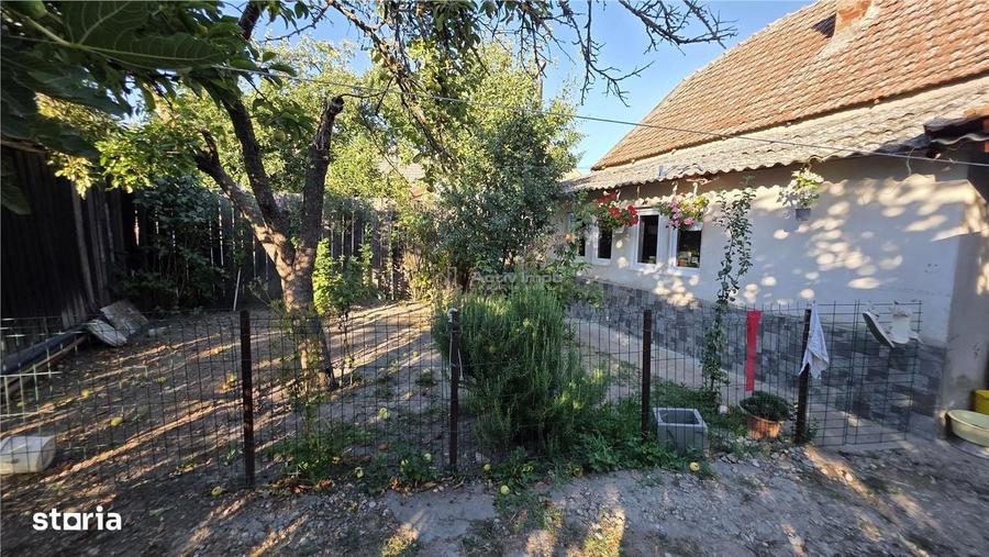 Casa Pustinis 2 camere - 14