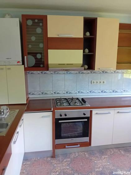 Ap cu 2 camere de inchiriat la vila,in Crisan - 6
