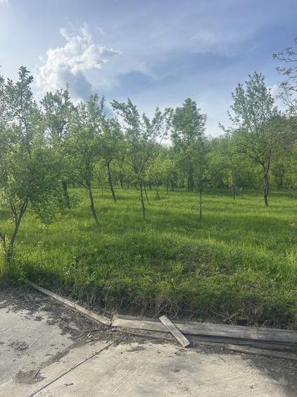 Spațiu comercial, în Ocnița