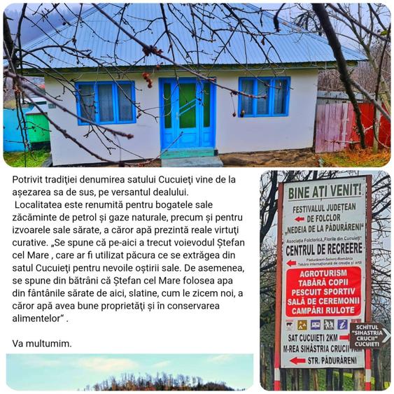 Casă cu 3 camere în Cucuieți (Dofteana)