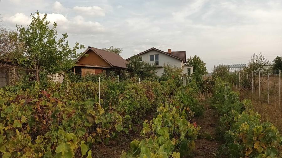Casă cu 3 camere cu Teren 4250 Mp în Moara Vlăsiei
