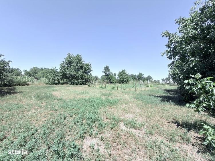 Casă cu 2 camere în Burlești