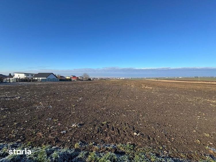 Teren de 5000 mp, în Valu lui Traian
