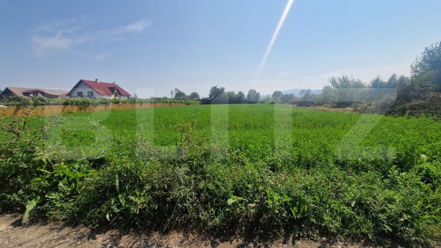 Teren intravilan de vanzare, 3800 mp, zona Vest - 2