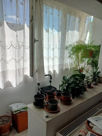 Apartament cu 3 camere în Confecții
