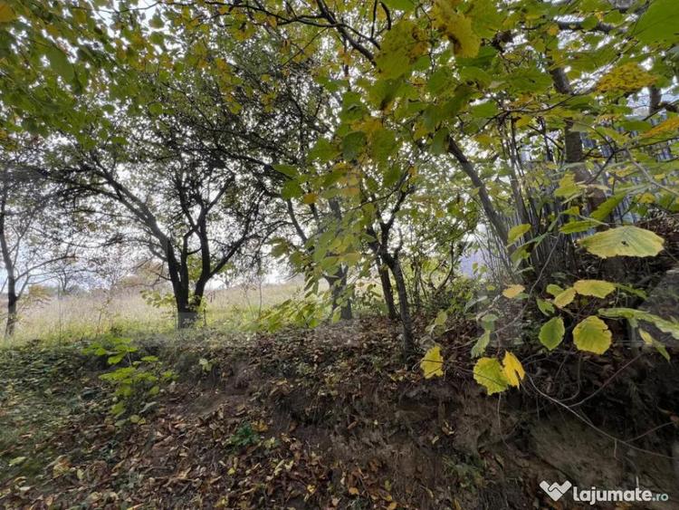 Teren de 702 mp, în Bună Ziua