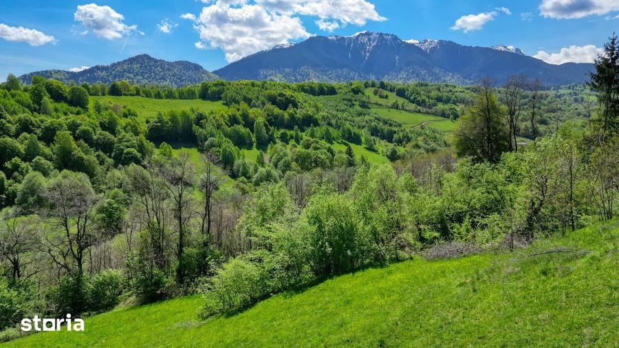 Teren de 20000 mp, în Bran