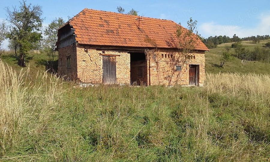 Casă cu Teren 4200 Mp în Șard
