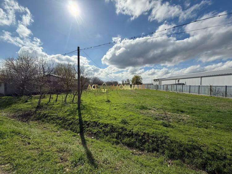 Teren Construcții intravilan de 2500 mp, în Brănești