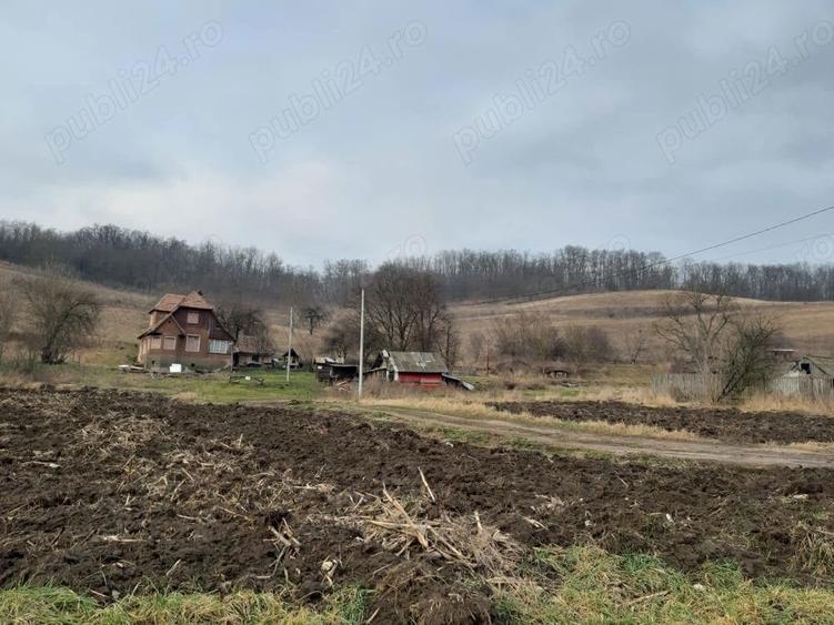 Teren de 1400 mp, în Central