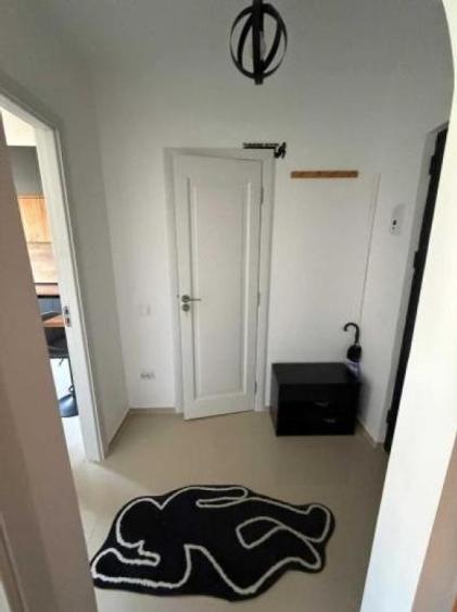 Vanzari Apartamente 2 Camere Luica - 8