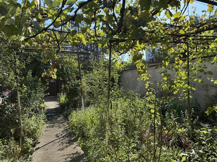 Bd. Uverturii, zona Cernisoara, Casa si teren intravilan 512 mp - 16