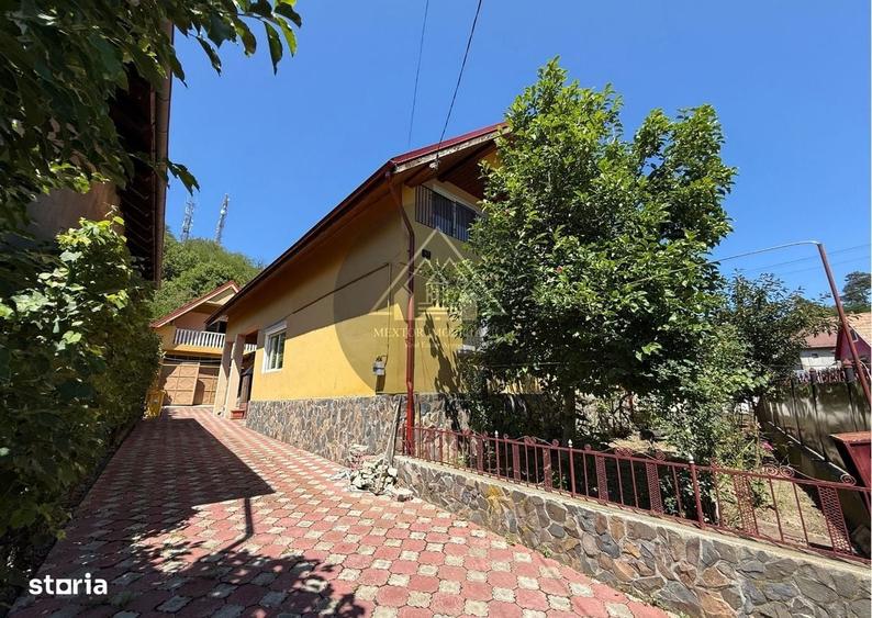 Casă cu 3 camere semidecomandat în Vitrometan