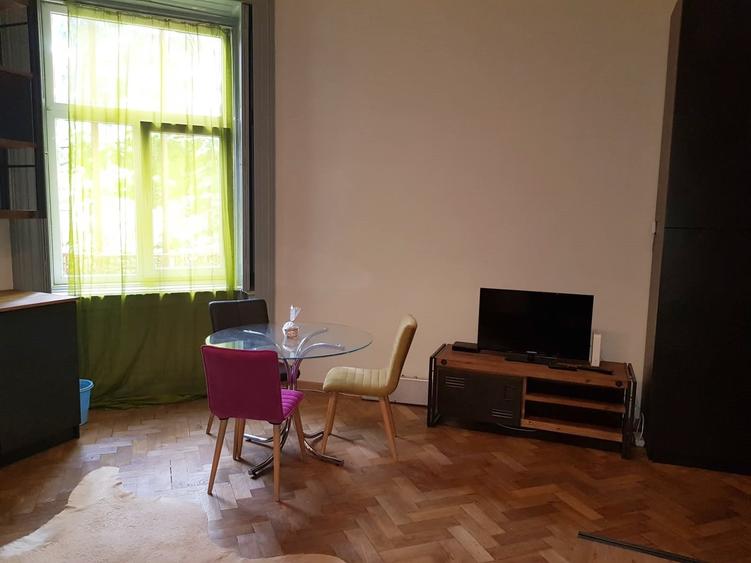 Apartament modern de închiriat zona UMF si USAMV - 12