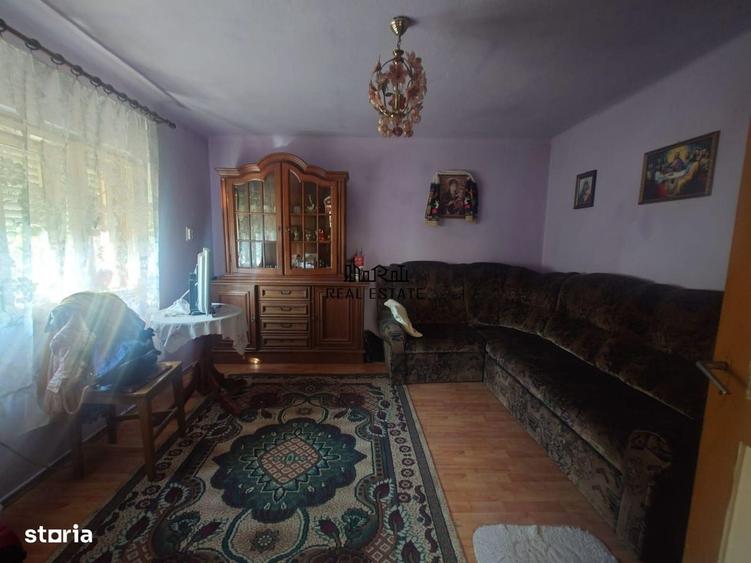 Casa si Teren Criscior - 18