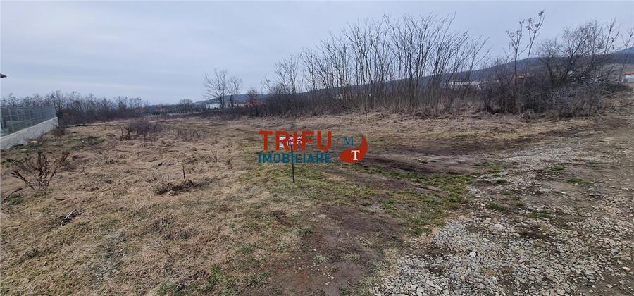 Teren Construcții intravilan de 1091 mp, în Cetate