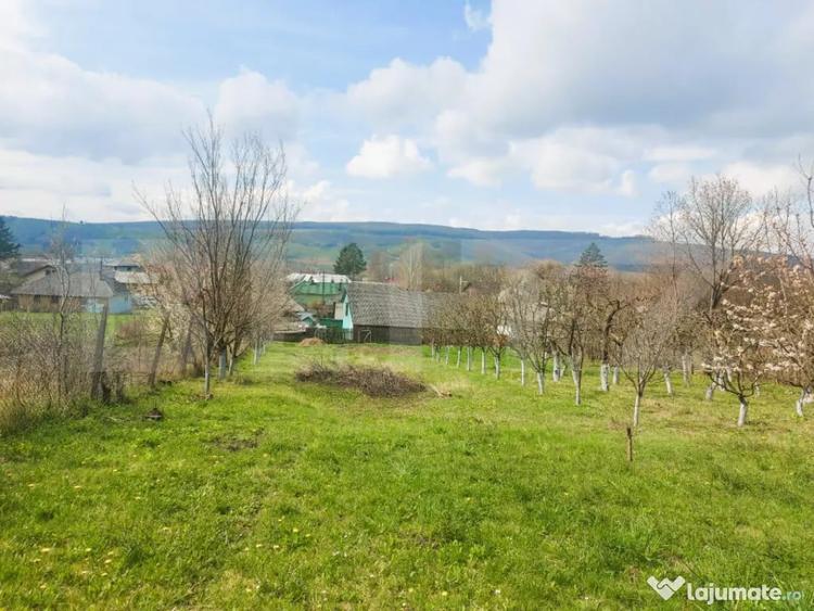 Casă cu 3 camere cu Teren 2900 Mp în Central