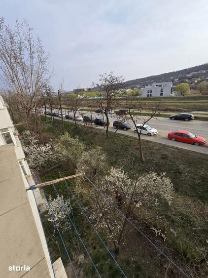 Inchiriere apartament ,Alexandru Cel Bun.Contract Anaf,300 euro - 6