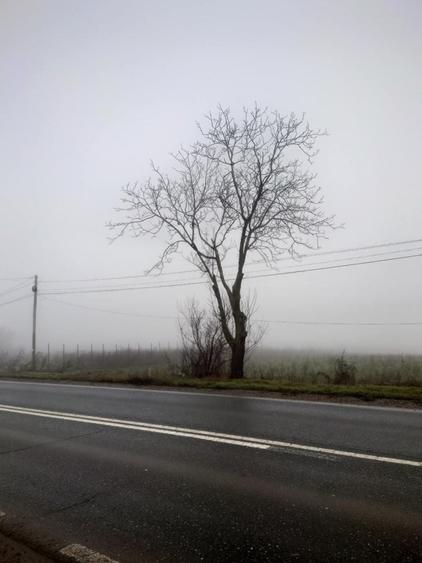 Teren de 6600 mp, în Vânători