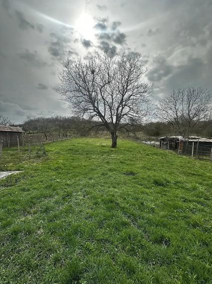 Casă cu 2 camere cu Teren 2700 Mp în Mica